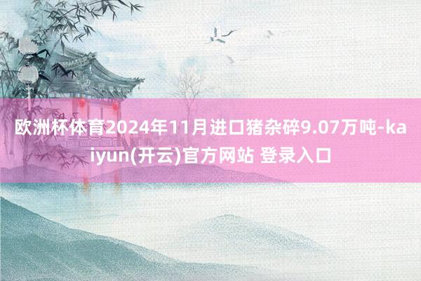   欧洲杯体育　　2024年11月进口猪杂碎9.07万吨-kaiyun(开云)官方网站 登录入口