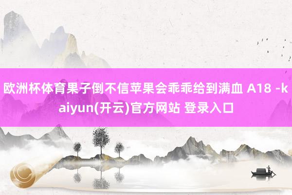   欧洲杯体育果子倒不信苹果会乖乖给到满血 A18 -kaiyun(开云)官方网站 登录入口