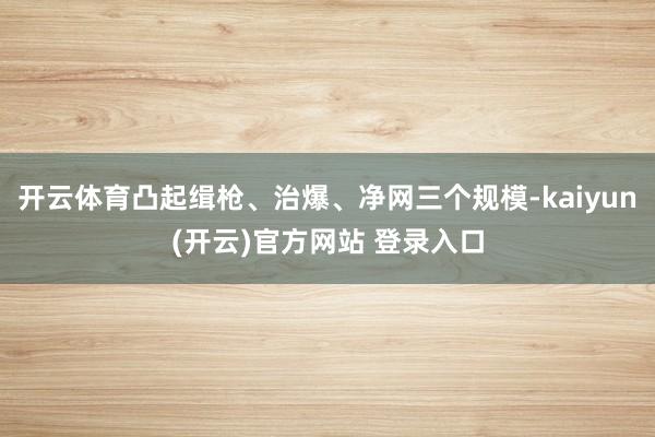   开云体育凸起缉枪、治爆、净网三个规模-kaiyun(开云)官方网站 登录入口