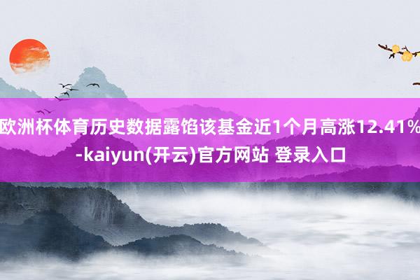   欧洲杯体育历史数据露馅该基金近1个月高涨12.41%-kaiyun(开云)官方网站 登录入口