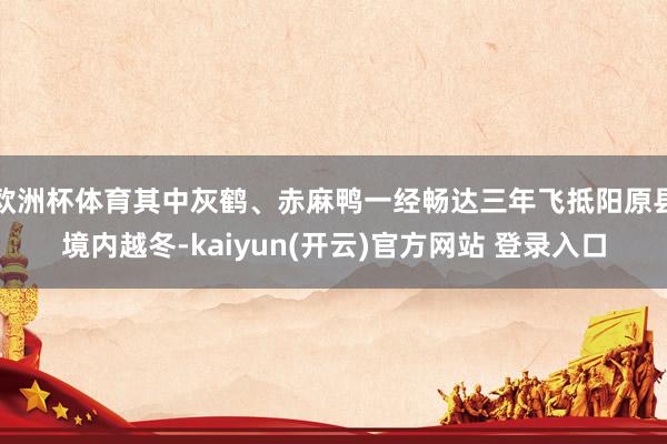   欧洲杯体育其中灰鹤、赤麻鸭一经畅达三年飞抵阳原县境内越冬-kaiyun(开云)官方网站 登录入口