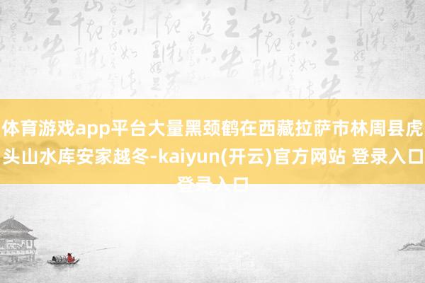   体育游戏app平台大量黑颈鹤在西藏拉萨市林周县虎头山水库安家越冬-kaiyun(开云)官方网站 登录入口