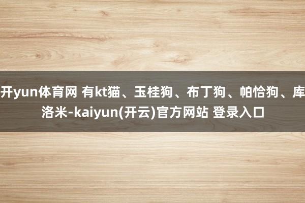   开yun体育网 有kt猫、玉桂狗、布丁狗、帕恰狗、库洛米-kaiyun(开云)官方网站 登录入口