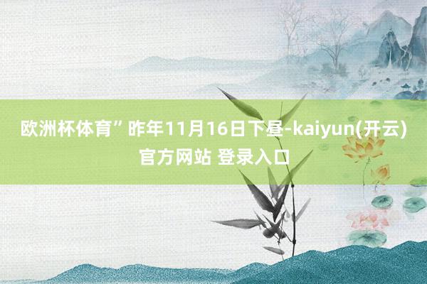   欧洲杯体育”昨年11月16日下昼-kaiyun(开云)官方网站 登录入口