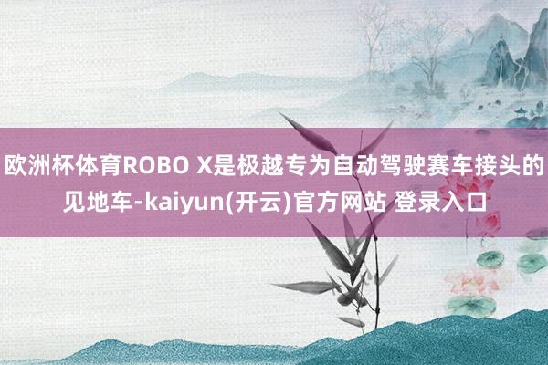   欧洲杯体育ROBO X是极越专为自动驾驶赛车接头的见地车-kaiyun(开云)官方网站 登录入口