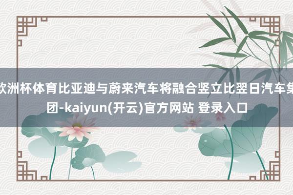   欧洲杯体育比亚迪与蔚来汽车将融合竖立比翌日汽车集团-kaiyun(开云)官方网站 登录入口