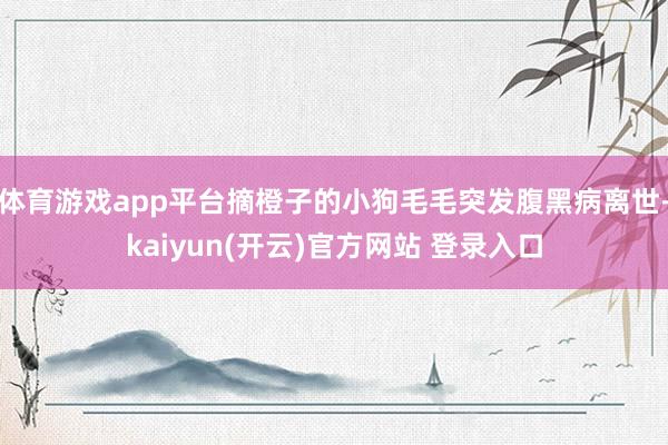   体育游戏app平台摘橙子的小狗毛毛突发腹黑病离世-kaiyun(开云)官方网站 登录入口