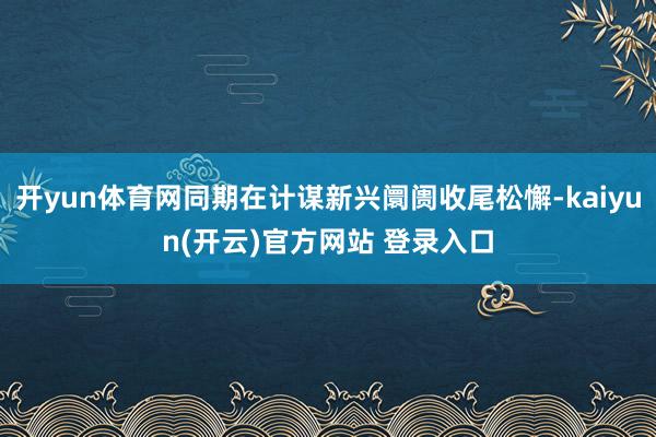   开yun体育网同期在计谋新兴阛阓收尾松懈-kaiyun(开云)官方网站 登录入口