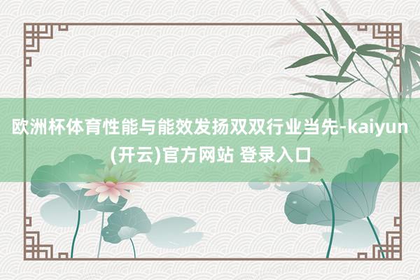 欧洲杯体育性能与能效发扬双双行业当先-kaiyun(开云)官方网站 登录入口