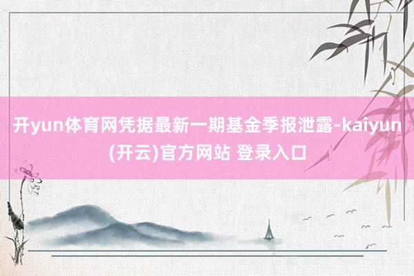 开yun体育网凭据最新一期基金季报泄露-kaiyun(开云)