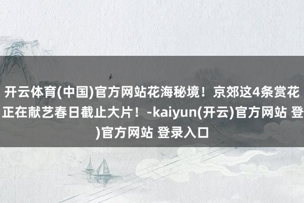 开云体育(中国)官方网站花海秘境！京郊这4条赏花表示，正在献艺春日截止大片！-kaiyun(开云)官方网站 登录入口