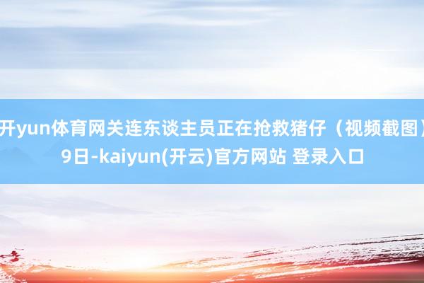开yun体育网关连东谈主员正在抢救猪仔（视频截图）9日-ka