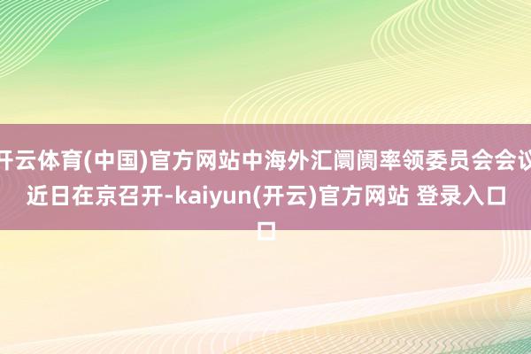 开云体育(中国)官方网站中海外汇阛阓率领委员会会议近日在京召