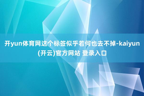 开yun体育网这个标签似乎若何也去不掉-kaiyun(开云)官方网站 登录入口