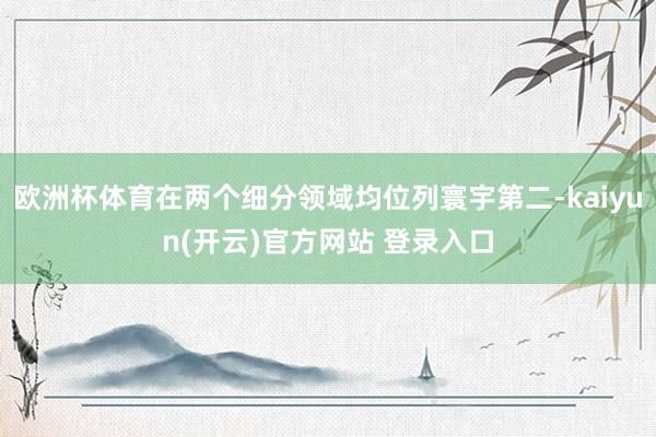 欧洲杯体育在两个细分领域均位列寰宇第二-kaiyun(开云)官方网站 登录入口