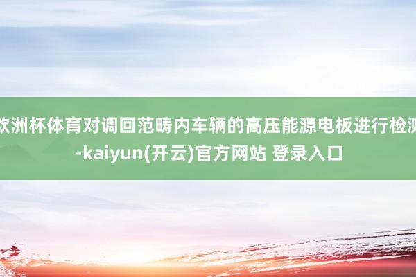 欧洲杯体育对调回范畴内车辆的高压能源电板进行检测-kaiyun(开云)官方网站 登录入口