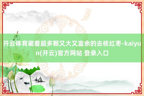 开云体育藏着超多颗又大又富余的去核红枣-kaiyun(开云)