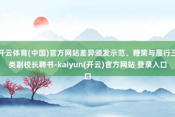 开云体育(中国)官方网站差异颁发示范、鞭策与履行三类副校长聘