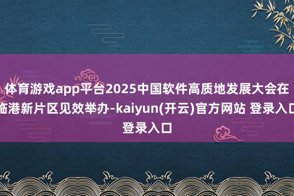 体育游戏app平台2025中国软件高质地发展大会在临港新片区