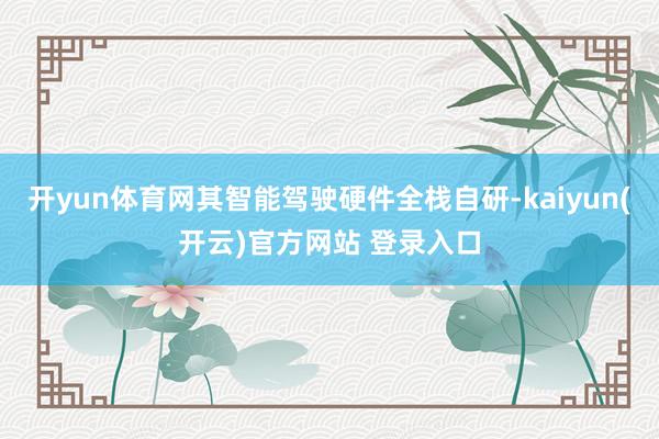 开yun体育网其智能驾驶硬件全栈自研-kaiyun(开云)官方网站 登录入口