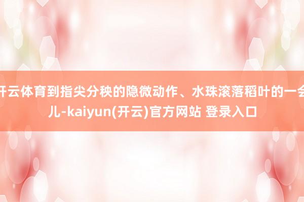 开云体育到指尖分秧的隐微动作、水珠滚落稻叶的一会儿-kaiyun(开云)官方网站 登录入口
