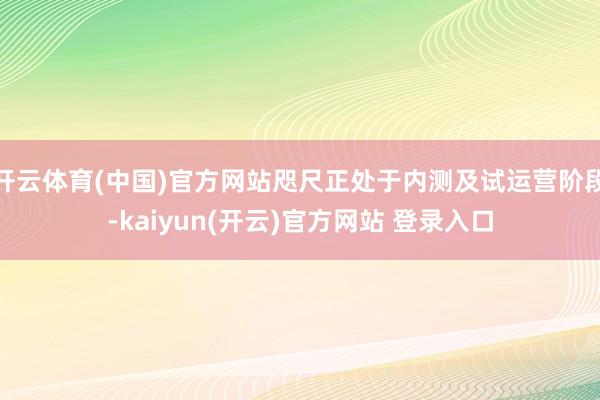 开云体育(中国)官方网站咫尺正处于内测及试运营阶段-kaiy