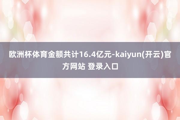 欧洲杯体育金额共计16.4亿元-kaiyun(开云)官方网站 登录入口