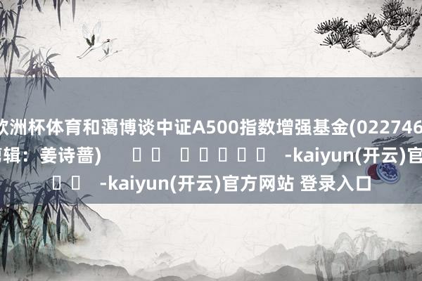 欧洲杯体育和蔼博谈中证A500指数增强基金(022746)　